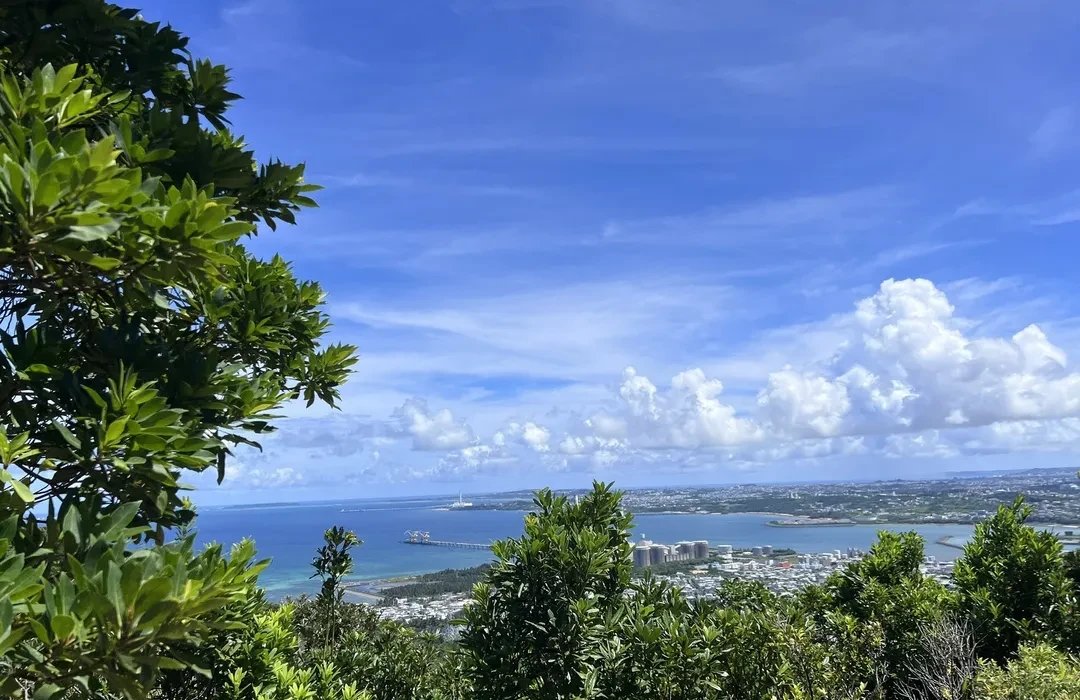 🌳 우루마 시민의 숲 공원 (우루마시민노모리코엔) 이미지 3